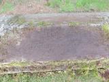 image of grave number 727596